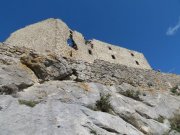 190317_Queribus024.jpg