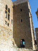 190317_Queribus029.jpg