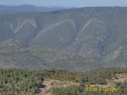 190317_Queribus032E.jpg