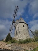 190317_Queribus044A.jpg