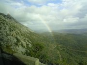 190317_Queribus044B.jpg