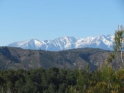 190316_Tautavel003.jpg