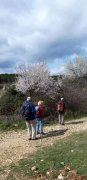 190314_Clapiers004.jpg