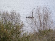 190307_Salagou004.jpg