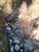 190303_Cros-La-Bantarde002.jpg