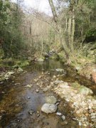 190303_Cros-La-Bantarde010.jpg