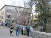 190303_Cros-La-Bantarde047.jpg