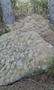 190228_Grandmont002.jpg