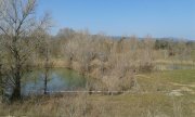 190221_Popian007.jpg