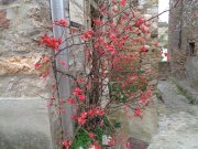 190219_Olonzac-Minerve020.jpg