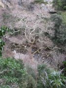 190219_La-Caunette-Minerve030.jpg