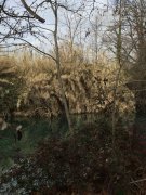 190214_Le-Lez003.jpg