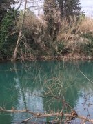 190214_Le-Lez004.jpg