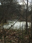 190214_Le-Lez005.jpg