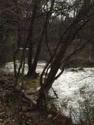190214_Le-Lez006.jpg