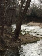 190214_Le-Lez010.jpg
