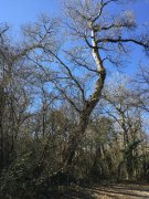 190214_Le-Lez016.jpg