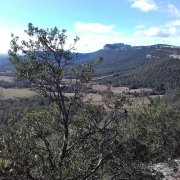 190211_Valflaunes014.jpg