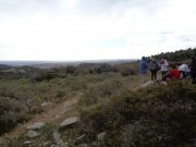 190203_La-Gardiole029.jpg