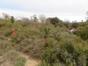 190128_St-Clement-Gailhan005.jpg