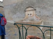 190120_Arboras009.jpg