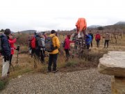 190120_Arboras018.jpg