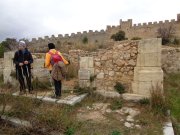 190120_Arboras029.jpg