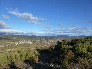 190114_St-Martin040A.jpg