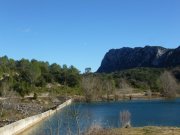 190114_St-Martin044.jpg