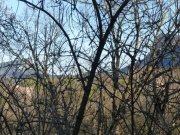190114_St-Martin046.jpg
