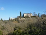 190114_St-Martin047.jpg