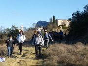 190114_St-Martin048.jpg
