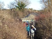 190114_St-Martin049.jpg