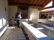 190110_Carnas005.jpg