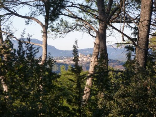Cliquer pour voir l'image en taille réelle