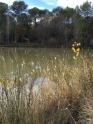 181206_Beauvoir006.jpg
