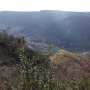 181118_Lescalette017.jpg