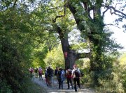 181004_Vic006.jpg