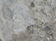 180919_DolomitesD022.jpg