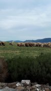 180916_ChamboJour2-001.jpg