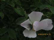 180618_Lundi004.jpg