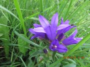 180618_Lundi011.jpg