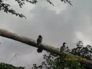 180616_Samedi028.jpg