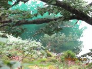 180616_Samedi029.jpg