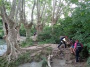 180610_Fin-dannee001.jpg