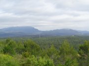 180610_Fin-dannee003.jpg