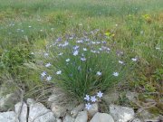 180524_Saint-Pons-de-M009.jpg