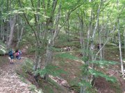 180521_Camplong013.jpg