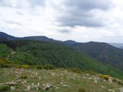 180521_Camplong016.jpg