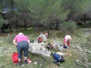 180503_Asphodeles013.jpg